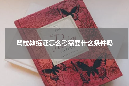 驾校教练证怎么考需要什么条件吗
