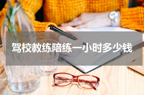 驾校教练陪练一小时多少钱