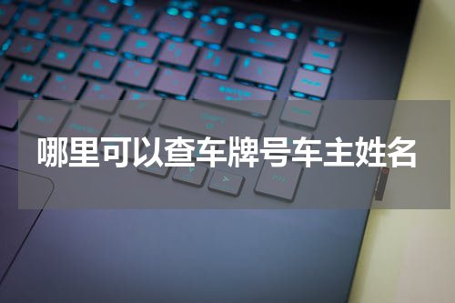 哪里可以查车牌号车主姓名