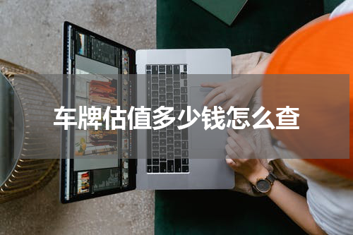 车牌估值多少钱怎么查