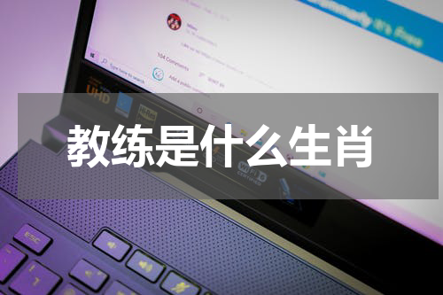 教练是什么生肖