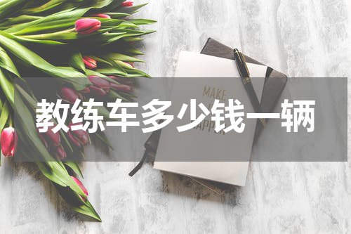 教练车多少钱一辆