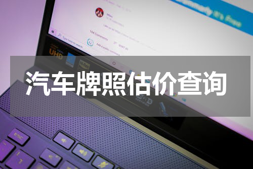 汽车牌照估价查询