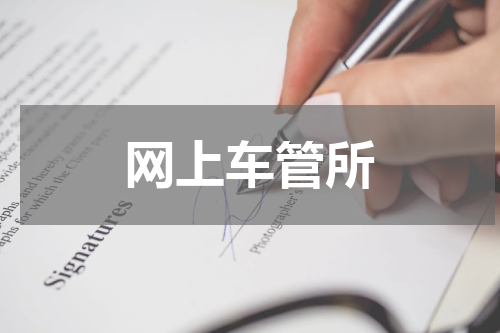 网上车管所
