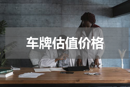 车牌估值价格