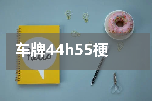 车牌44h55梗