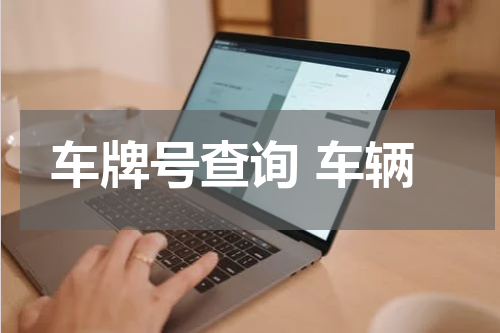 车牌号查询 车辆