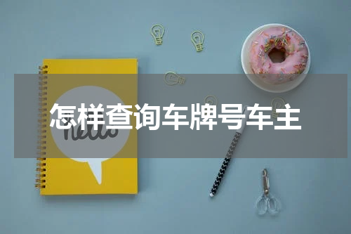 怎样查询车牌号车主