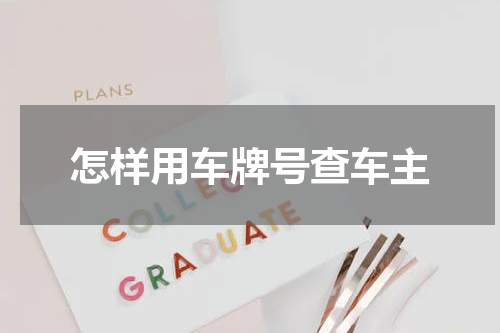 怎样用车牌号查车主