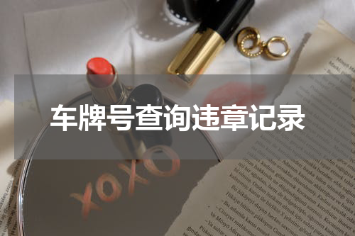 车牌号查询违章记录