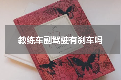 教练车副驾驶有刹车吗