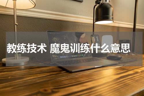 教练技术 魔鬼训练什么意思