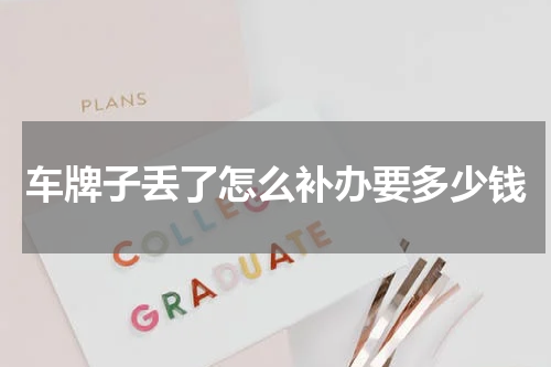 车牌子丢了怎么补办要多少钱