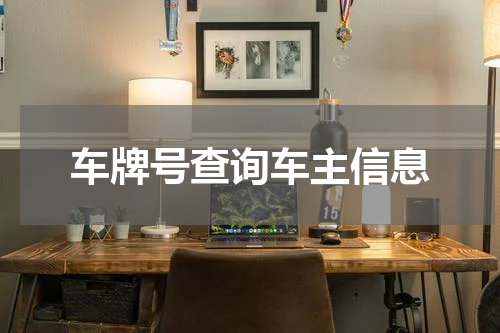 车牌号查询车主信息