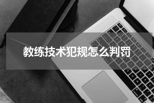 教练技术犯规怎么判罚