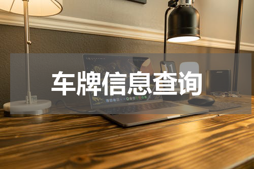 车牌信息查询