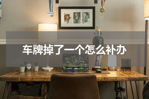 车牌掉了一个怎么补办
