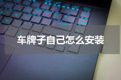车牌子自己怎么安装
