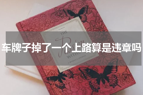 车牌子掉了一个上路算是违章吗