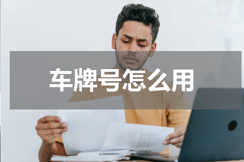 车牌号怎么用