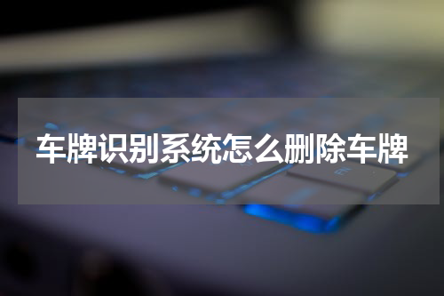 车牌识别系统怎么删除车牌