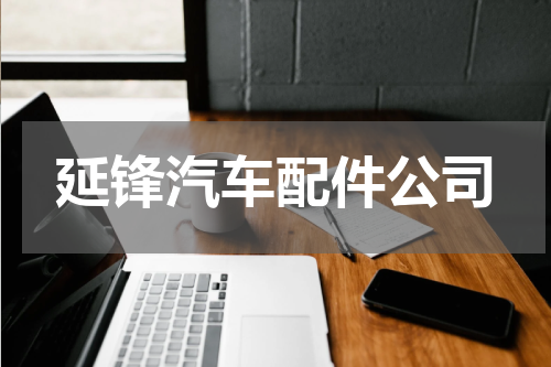 延锋汽车配件公司