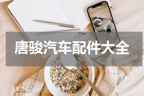唐骏汽车配件大全