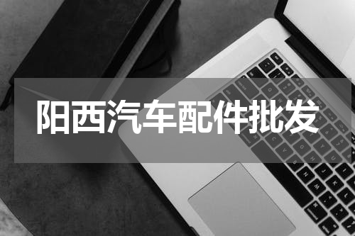 阳西汽车配件批发