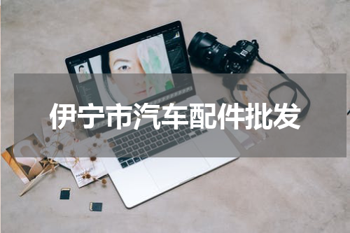 伊宁市汽车配件批发
