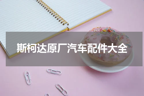 斯柯达原厂汽车配件大全