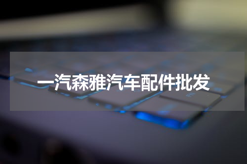 一汽森雅汽车配件批发