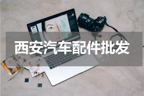 西安汽车配件批发