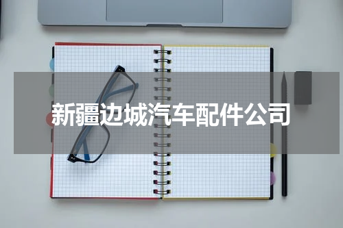 新疆边城汽车配件公司