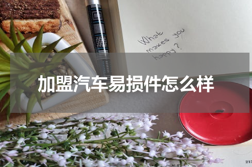 加盟汽车易损件怎么样