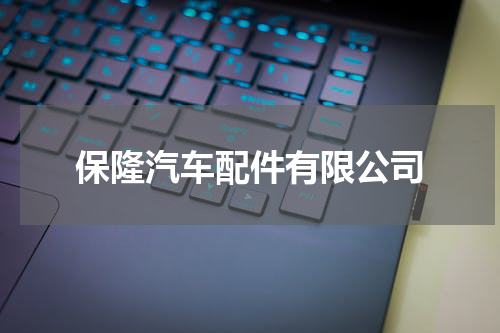 保隆汽车配件有限公司