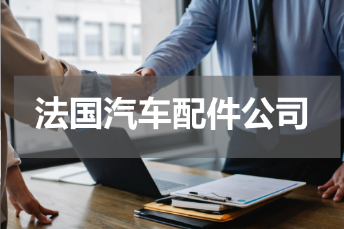 法国汽车配件公司
