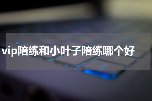 vip陪练和小叶子陪练哪个好