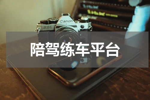 陪驾练车平台