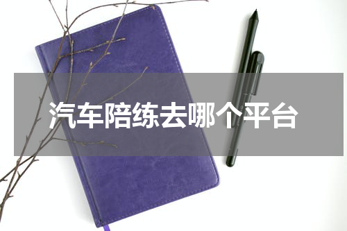 汽车陪练去哪个平台