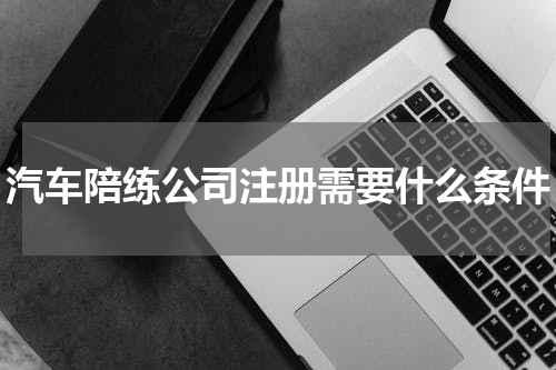 汽车陪练公司注册需要什么条件
