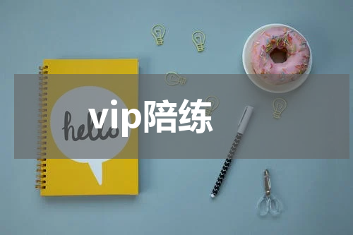 vip陪练