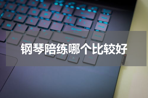 钢琴陪练哪个比较好