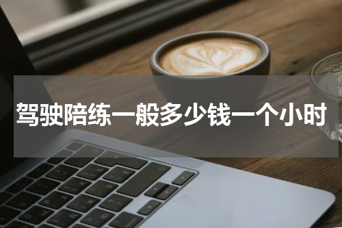 驾驶陪练一般多少钱一个小时