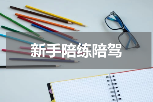 新手陪练陪驾