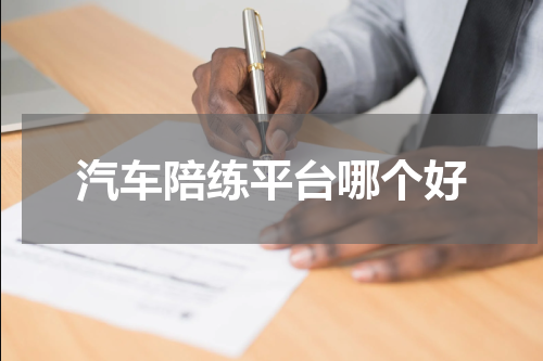 汽车陪练平台哪个好