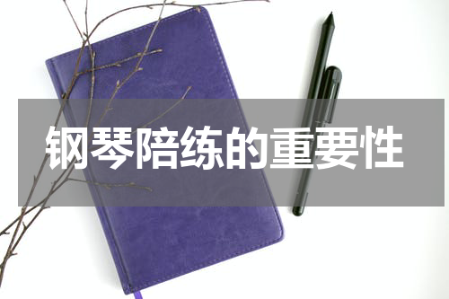 钢琴陪练的重要性