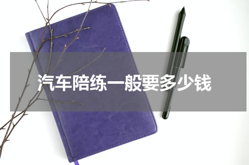 汽车陪练一般要多少钱