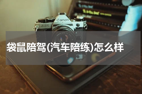 袋鼠陪驾(汽车陪练)怎么样
