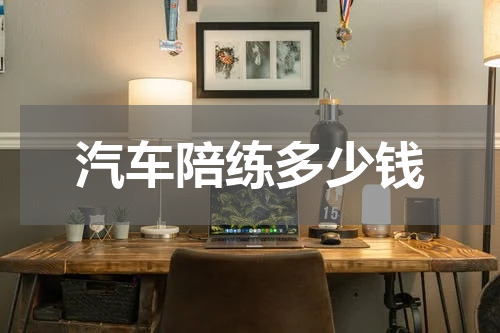 汽车陪练多少钱