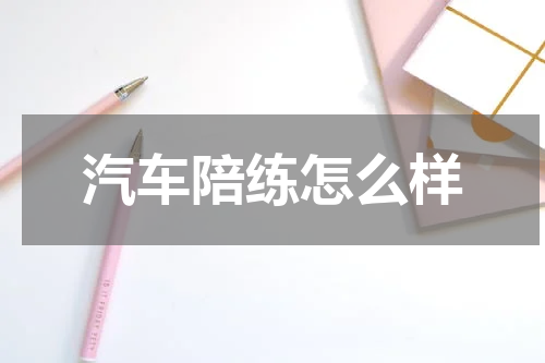 汽车陪练怎么样